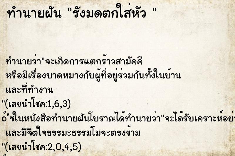 ทำนายฝัน รังมดตกใส่หัว 